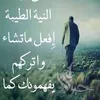 user8161234447040