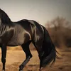 makdalena841