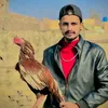 new7darbar