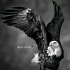 hamza.hamza573