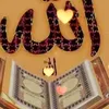 user4498033152435