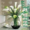 rif.ssrif