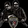 RESMOB PALOPO