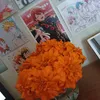 nanase_sunn