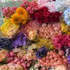 salwa_khalifa3