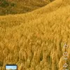 user4187614118717