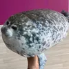 dkdhdbdidod