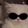 muneerah0_