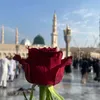 bentahmed71