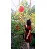 mduyen_13t