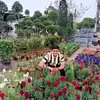 masoodfakhar