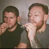 mijofresh