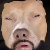 chinchonchan33
