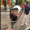 qchiem287