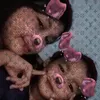 salsa3692580147