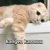 putrawajo70