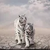 zaw.zaw51708