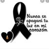 flor.rodrguez545