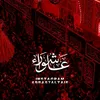 .mohamed.loai