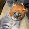 dodungchocacboss