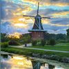 chelsea_c081