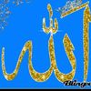 abubakarjutt4680976