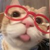 palmy_120