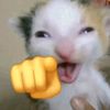 whoossrx_0