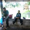 darwis.jpm