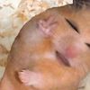 theyyraaw