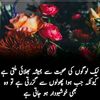 arifshina312gmail.com