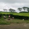tukanggigit21