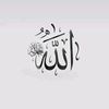 user69613754792023