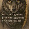 kamran.xudaverdi