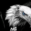 eagle_05dq