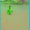 user6978009981355