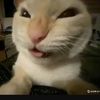 bryan_millers