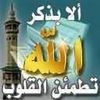 user4219445284357