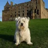 euan.w