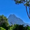 nayaraperdomo