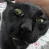 bigttdumbass