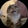 um_aleatorio_qualquer_01