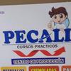 pecali_cursospracticos