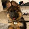whoistix