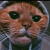 kevin_alexander1238