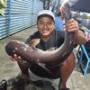 djamal.bsy