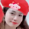 hin12069