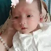 bemeo1014