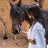 hanan73373