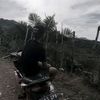 parelprt88